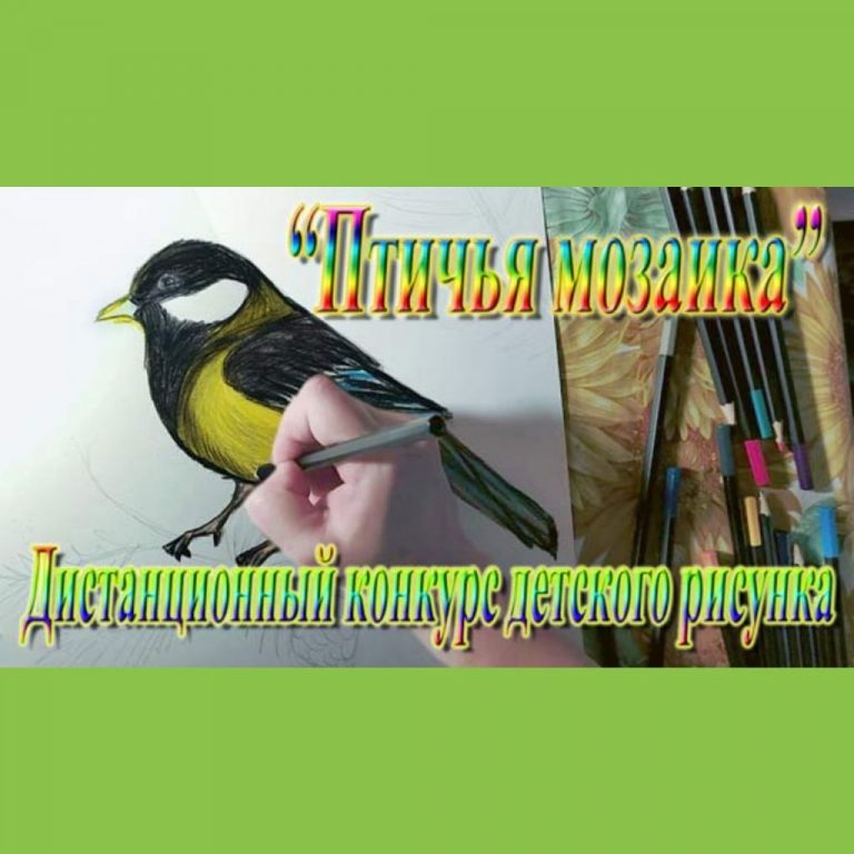 Подробнее о статье Стартовал дистанционный конкурс детского рисунка «Птичья мозаика»