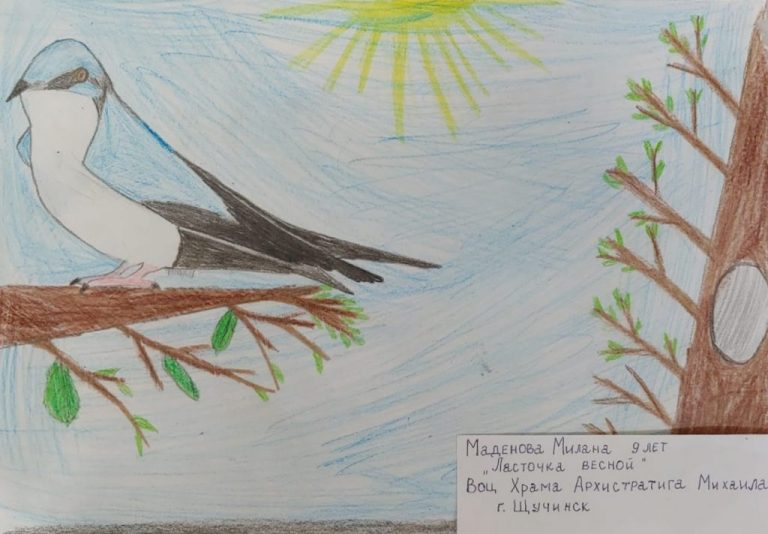 Подробнее о статье Воспитанники ВОЦ г. Щучинск приняли участие в Конкурсе «Птичья мозаика»